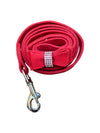 4ft Bow Tie Leash