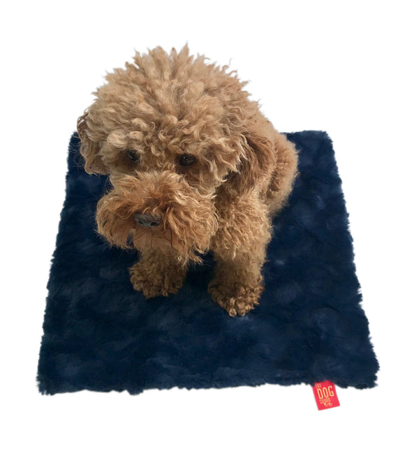 Carrier Square, Bella