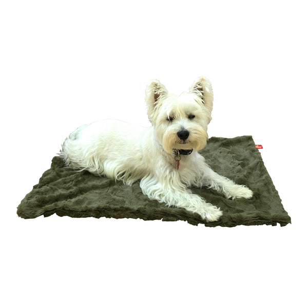 Small Blanket, Bella, 20"x30"