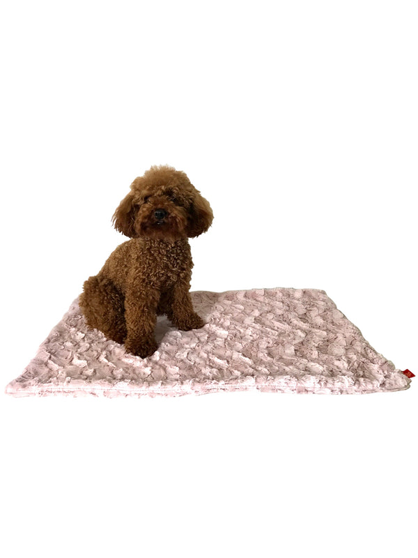 Small Blanket, Bella, 20"x30"