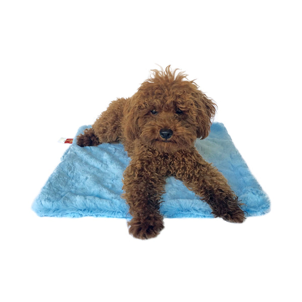 Carrier Square, Bella