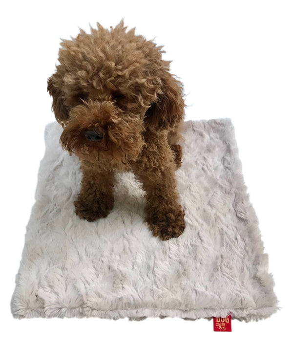 Carrier Square, Bella