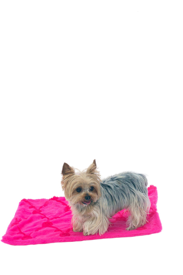 Small Blanket, Embroidered Roses, 20"x30"