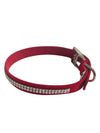 Glamour Girl Ultrasuede Collar w/ Swarovski Crystal, Red