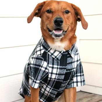 Flannel Dog Shirt - Black and White Plaid