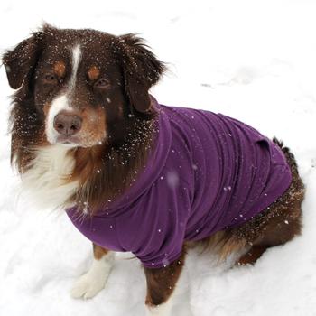 Flex-Fit Dog Hoodie - Purple