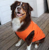 Happy Face Dog Shirt - Sunset Orange