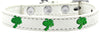 Dog, Puppy & Pet Widget FashionCollar, "Green Palm Tree"