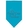 Christmas Pet and Dog Bandana Rhinestone, "Candy Cane Princess"