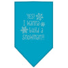 Christmas Pet and Dog Bandana Rhinestone, "Yes! I Want To Build A Snowman"
