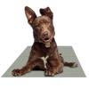 Self-Cooling Gel Pet Mat – Foldable & Non-Toxic