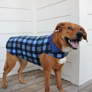 Reversible Fleece Lined Puffer Dog Coat - Blue Plaid