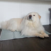 Cooling Pet Pad – No Freezing or Electricity
