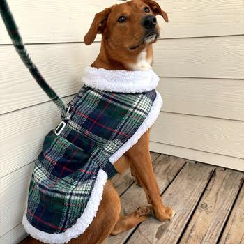 Sherpa-Lined Dog Harness Coat - Blue & Green Plaid