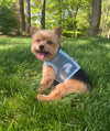 Step-In Dog Harness & Leash Set – Lightweight Mesh Choke-Free