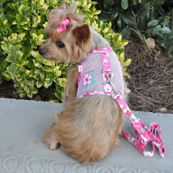 Step-In Dog Harness & Leash Set – Lightweight Mesh Choke-Free