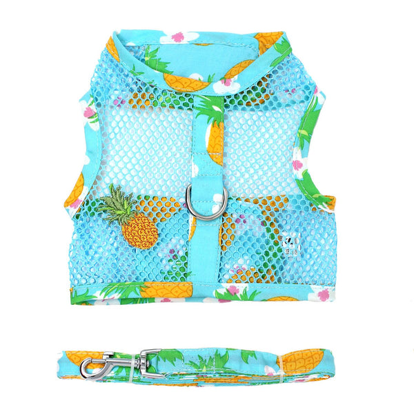 Step-In Dog Harness & Leash Set – Lightweight Mesh Choke-Free
