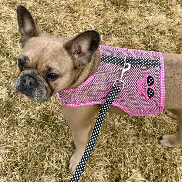 Step-In Dog Harness & Leash Set – Lightweight Mesh Choke-Free