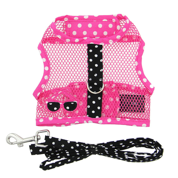 Step-In Dog Harness & Leash Set – Lightweight Mesh Choke-Free