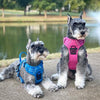Venture Paw Pull Control Dog Harness - Mountain Lake