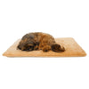 Crazy Warm Pet Bed – Self-Warming Orthopedic Pad for Dogs & Cats