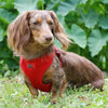 Wrap and Snap Choke Free Dog Harness by Doggie Design - Flame Red